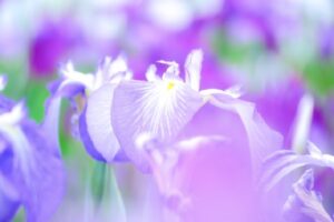 営業時間短縮と臨時休業のお知らせ