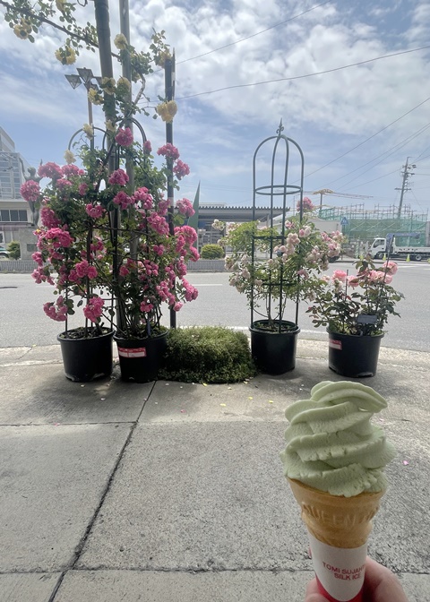 ソフトクリームいかがでしょうか