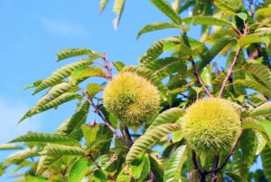 送料無料キャンペーン終了の予告（9月30日）